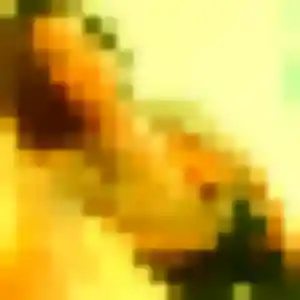 Photo perso de Catherine, 39 ans à Aigues-Mortes - plan discret