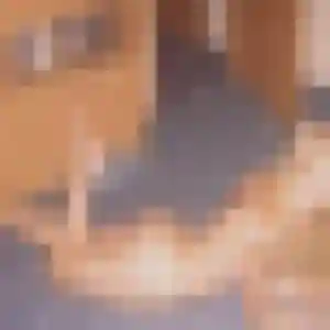 Rejoins Wilhelmine, 36 ans à Aigues-Vives en t'inscrivant