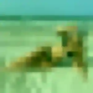 Photo de Olympe à Albussac (39 ans) - plan cul anonyme