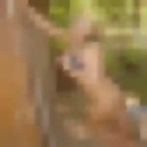 Oriane (43 ans) à Allineuc cherche un plan cul ce soir