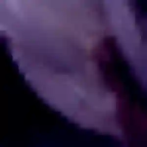 Alice, fille de 25 ans cherche plan cul à Amayé-sur-Orne