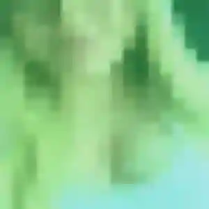 Jennifer (41 ans) à Angé cherche un plan cul ce soir