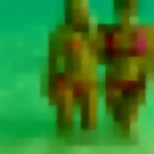 Rejoins Olympe, 27 ans à Anglesqueville-l'Esneval en privé