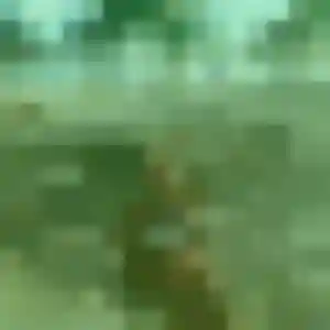 Renee, 27 ans, veut un plan cul à Angy