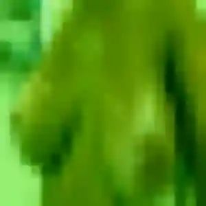 Contacte Alienor, 28 ans à Ardes en t'inscrivant