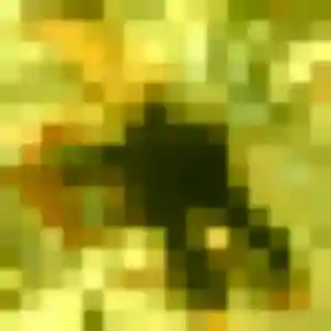 Urielle, 44 ans, connectée à Ardes pour une rencontre coquine