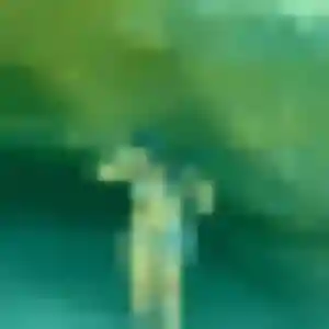 Profil de Corinne à Ardin (34 ans) - plan cul anonyme