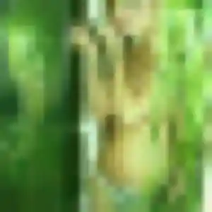 Profil de Nadia à Argences (28 ans) - plan cul gratuit