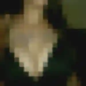 Profil de Pascale à Argy (40 ans) - plan cul gratuit