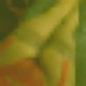 Marie, 35 ans, disponible à Armoy pour une rencontre coquine