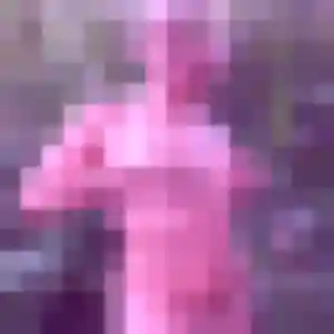 Photo de Dina à Assevent (34 ans) - plan cul anonyme
