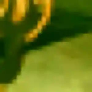 Photo de Jocelyne à Aubiet (25 ans) - plan cul anonyme