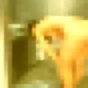 Belle Estee, 27 ans à Aulnat - la contacter