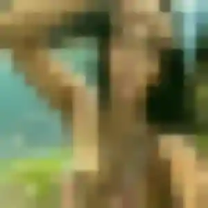 Monique (26 ans) à Aussillon cherche un plan cul aujourd'hui