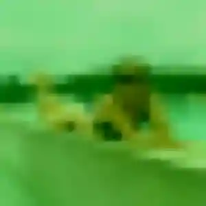 Justine, 38 ans, connectée à Avelin pour une rencontre coquine