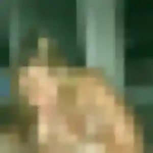 Photo de Valentine à Averdon (28 ans) - plan cul discret