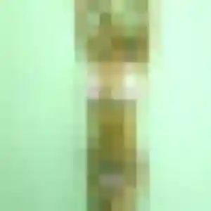 Estelle, femme de 24 ans cherche plan cul à Avremesnil