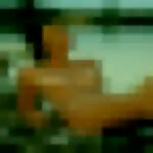 Charmante Madeleine, 23 ans à Ayguemorte-les-Graves - découvrir son profil