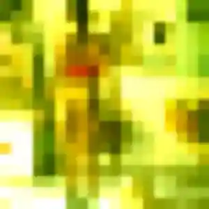 Rencontre Monique, 28 ans à Ayguesvives en t'inscrivant