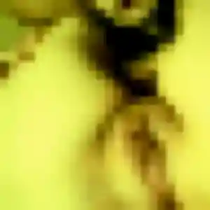 Charlotte, 42 ans, dispo pour plan cul à Ayse