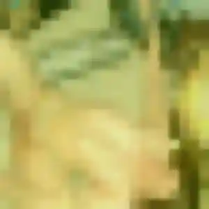 Profil de Lisa à Baccon (35 ans) - plan cul gratuit