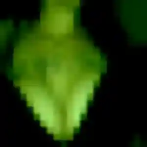 Touria de Bagneux, 43 ans - plan cul sans prise de tête