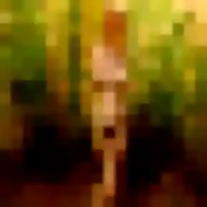 Découvre Sophie, 32 ans à Bagnols-sur-Cèze en privé