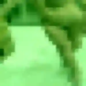 Barbara, fille de 35 ans cherche plan cul à Balbigny