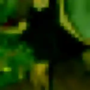 Photo sexy de Rebecca, 32 ans à Bambecque - rencontre coquine