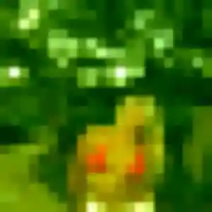 Jolie Solene, 42 ans à Banassac-Canilhac - voir sa photo