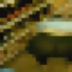 Mathilde, 33 ans, connectée à Banville pour une rencontre coquine