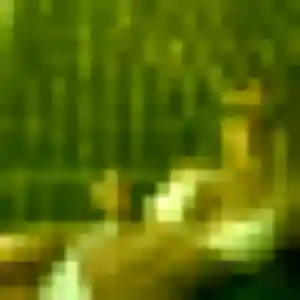 Photo exclusive de Candice, 29 ans à Baron-sur-Odon - rencontre coquine