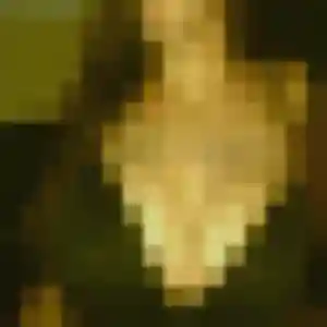Photo de Rosemarie à Battenheim (34 ans) - plan cul gratuit