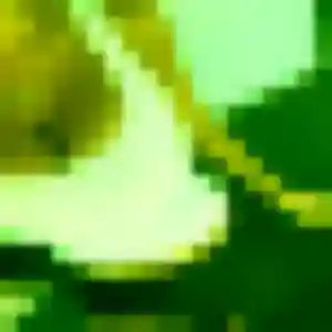 Edith (43 ans) à Bazainville cherche une rencontre maintenant
