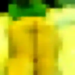 Urielle (34 ans) à Baziège propose un plan cul rapidement