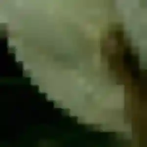 Regine, 37 ans, dispo pour plan cul à Bazouges-la-Pérouse