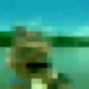 Rencontre Verane, 39 ans à Beaucouzé gratuitement