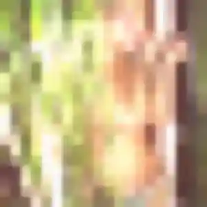 Domitille, femme de 28 ans propose plan cul à Beauvoisin