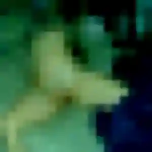 Kelly, 41 ans, connectée à Beauvoisin pour un plan cul