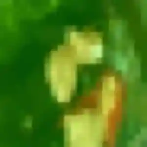 Jolie Natasha, 35 ans à Beire-le-Châtel - voir sa photo