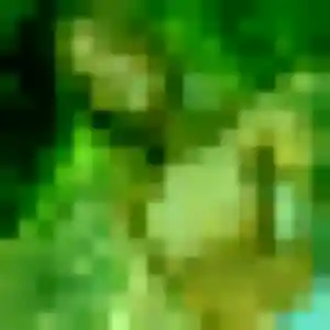 Photo de Coralie à Bellefond (36 ans) - plan cul gratuit