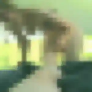 Photo perso de Harmony, 45 ans à Belmont - rencontre coquine