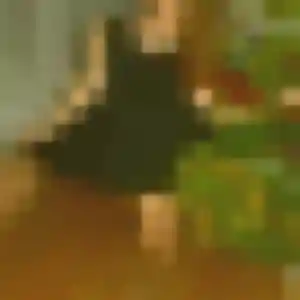 Photo privée de Bianca, 38 ans à Bermerain - rencontre sans lendemain