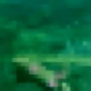 Découvre Marie-Pierre, 44 ans à Berre-l'Étang en t'inscrivant