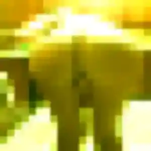 plan cul à Berthen : profil de Jennifer, 42 ans - sans engagement