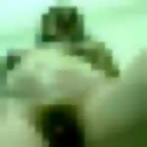 Siham, fille de 25 ans veut plan cul à Berville-en-Caux