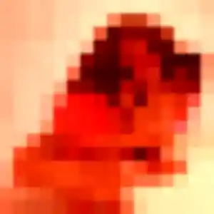 Alix, fille de 38 ans cherche plan cul à Bessoncourt