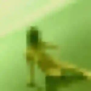 Celine, 39 ans, dispo pour plan cul à Bévenais
