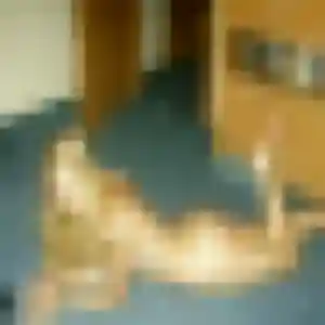 Mathilde, 37 ans, cherche un plan cul à Beynost