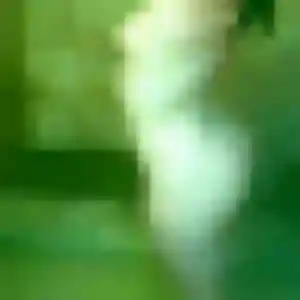 Photo perso de Adeline, 42 ans à Biganos - rencontre coquine